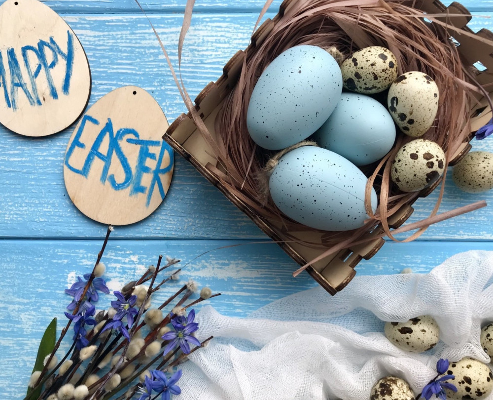 media.pasqua 2 1